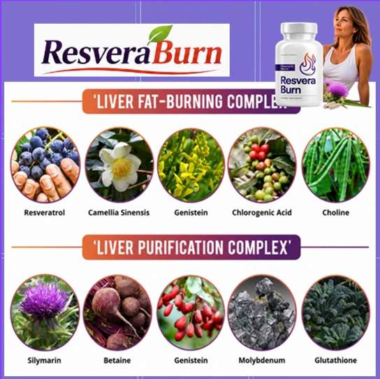 ResveraBurn Ingredients